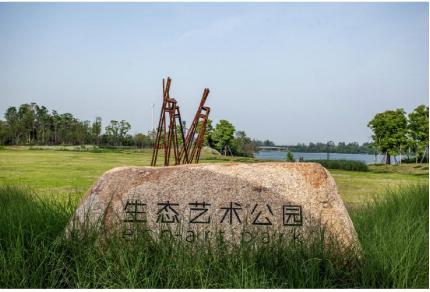 谁，在让城市雕塑自然生长？